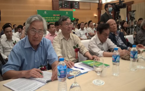 Phát triển hoa, cây cảnh ngành kinh tế sinh thái trong xây dựng nông thôn mới và đô thị văn minh